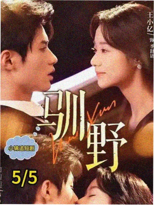 林砚舟档案整理顾问档案卡封面